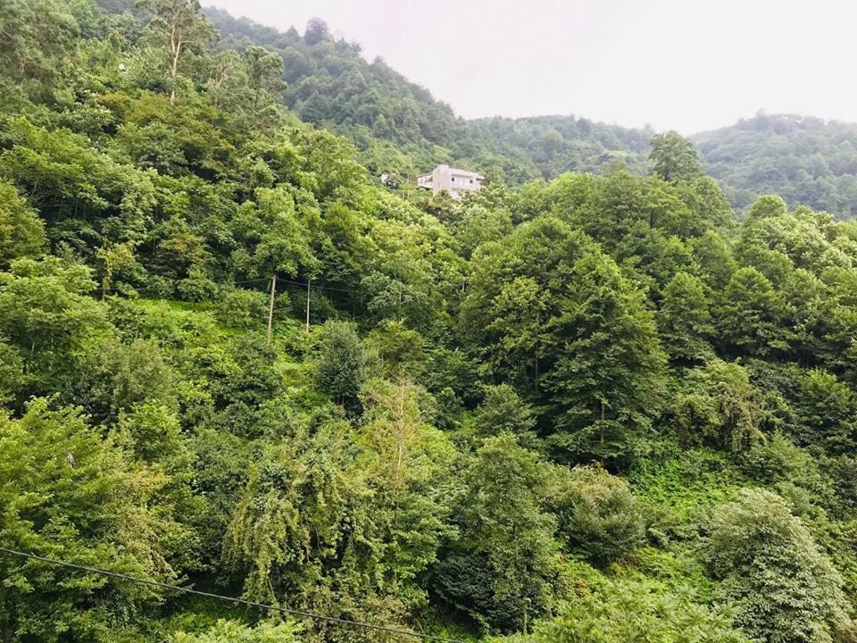 Giorgi Kvariati Hotel Екстериор снимка